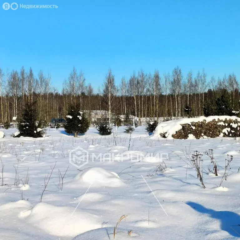 Участок в Ломоносовский район, Горбунковское сельское поселение, ... - Фото 2