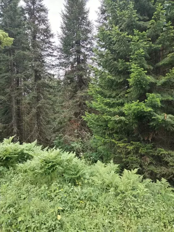 Дом в Башкортостан, Иглинский район, Балтийский сельсовет, с. Балтика  ... - Фото 0