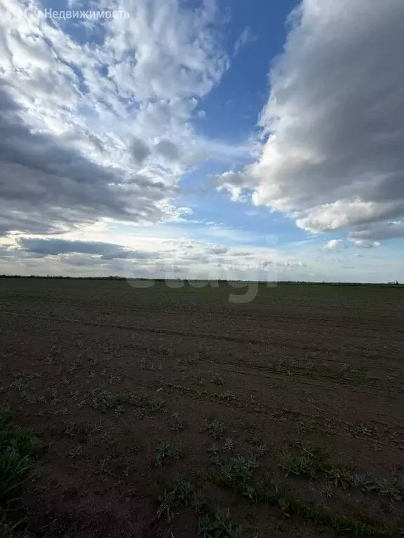 Участок в Сакский район, село Ивановка (28344 м) - Фото 2