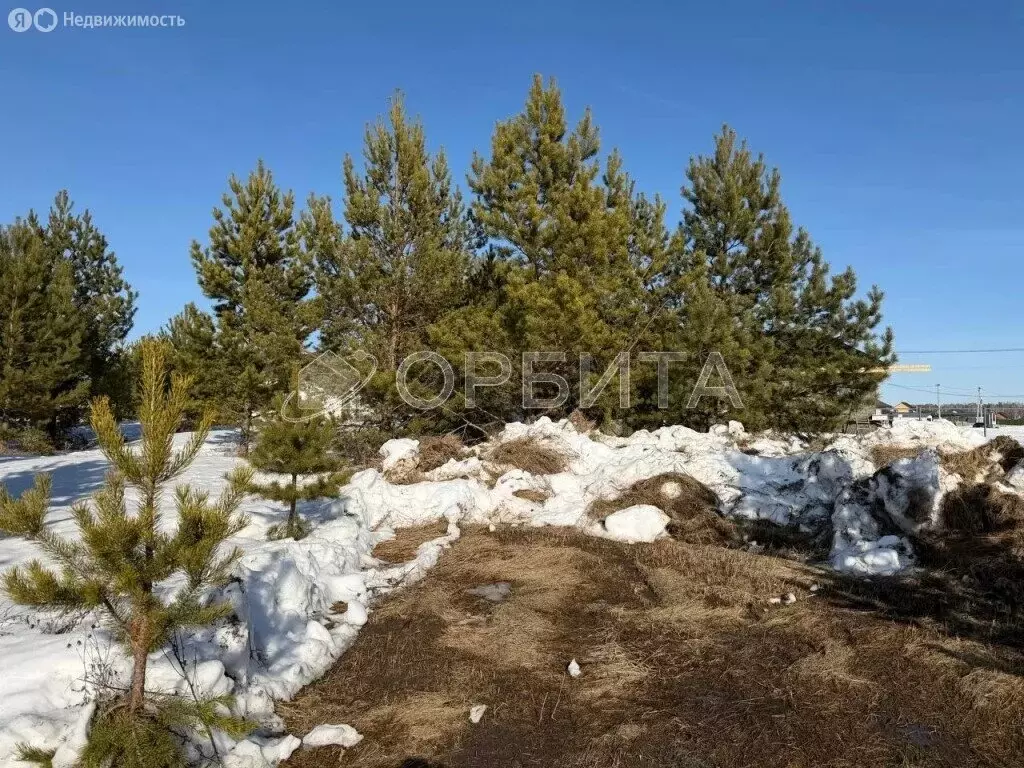 Участок в Тюмень, микрорайон Мыс, улица Ушакова (6.06 м) - Фото 2