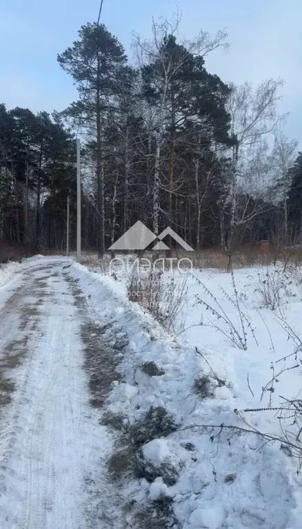 Участок в Новосибирская область, Новосибирский район, Кубовинский ... - Фото 1