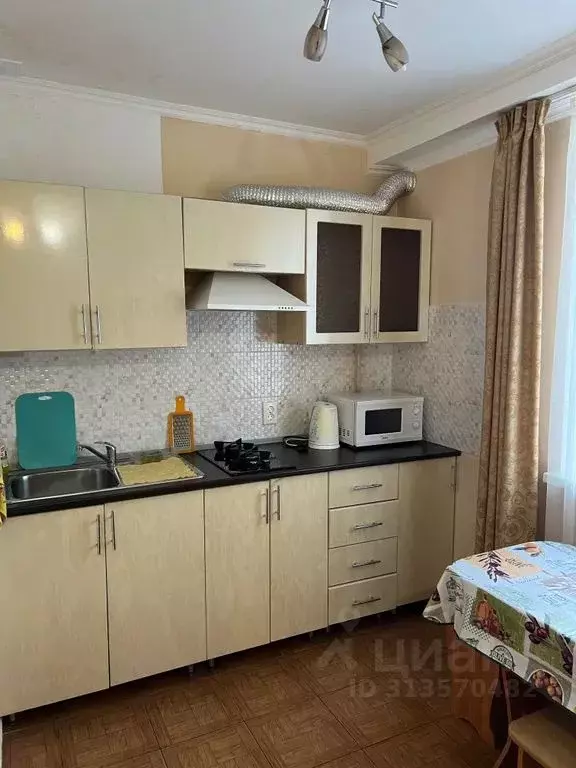 Студия Краснодарский край, Сочи ул. Ленина, 42 (25.0 м) - Фото 1