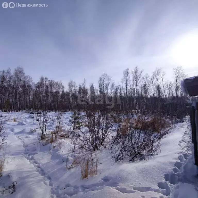 Участок в Тюменский район, рабочий посёлок Винзили (14 м) - Фото 0