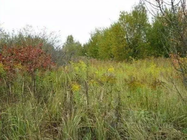 Участок в Московская область, Дубна ул. Черничная (5.0 сот.) - Фото 1