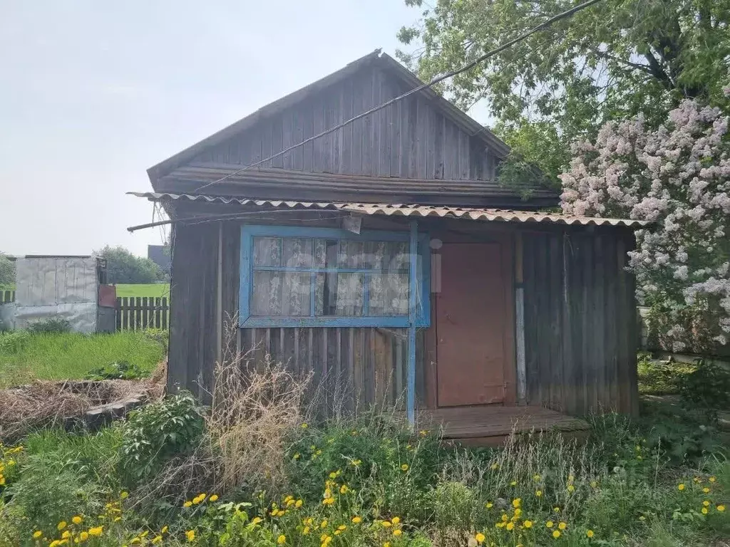 3-к кв. Амурская область, Тамбовский муниципальный округ, с. ... - Фото 1