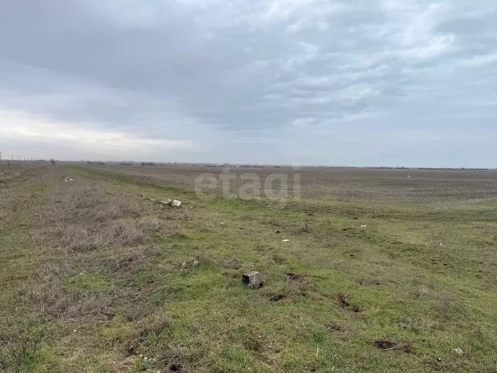 Участок в Крым, Сакский район, с. Молочное  (30.0 сот.) - Фото 2