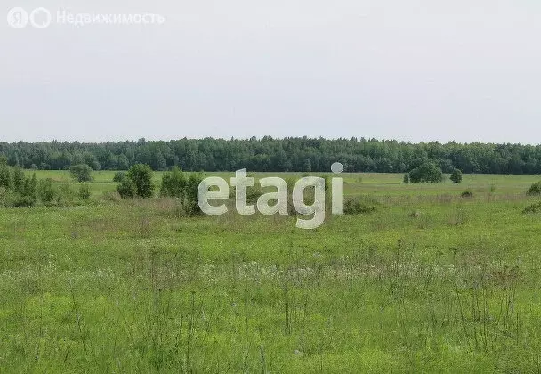 участок в низинское сельское поселение, посёлок троицкая гора (441.9 . - Фото 0