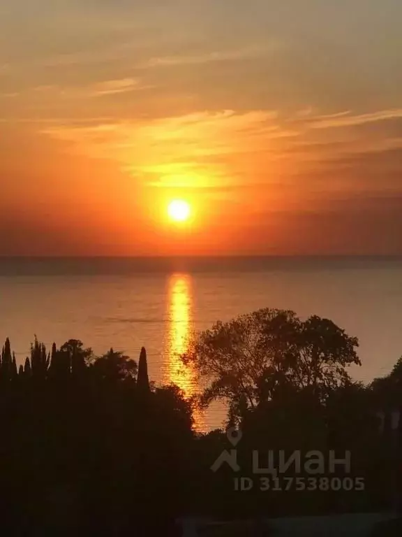 1-к кв. Краснодарский край, Сочи Виноградная ул., 4 (37.0 м) - Фото 0