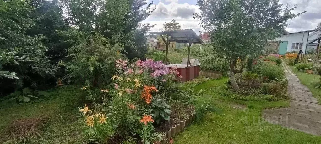 Дом в Новосибирская область, Коченевский район, Букет СНТ ул. ... - Фото 0