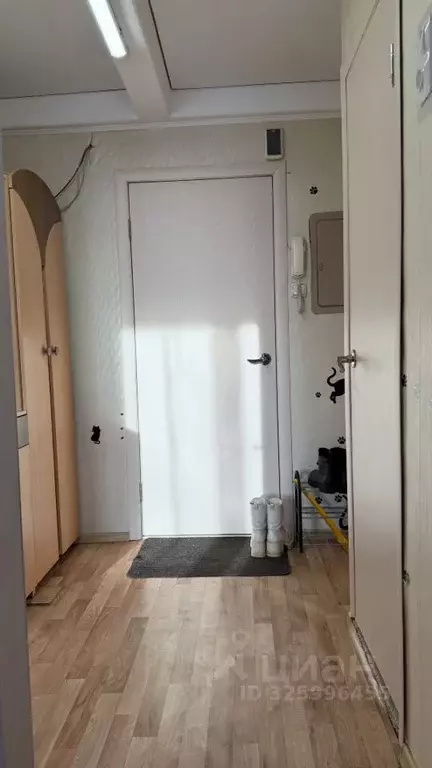 1-к кв. Санкт-Петербург ул. Орджоникидзе, 31К1 (30.2 м) - Фото 2