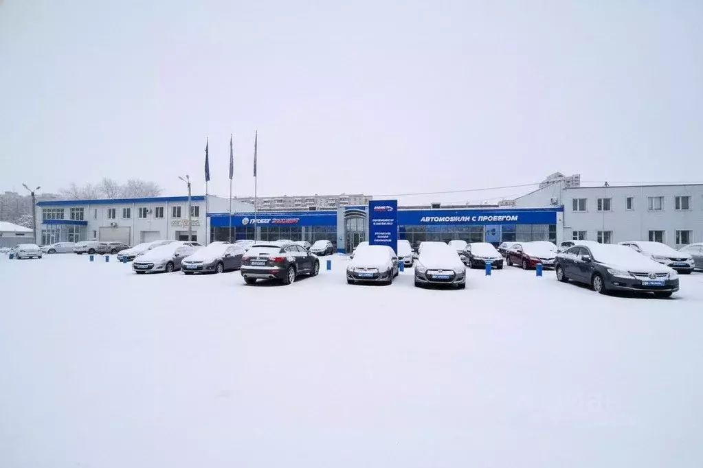 Торговая площадь в Оренбургская область, Оренбург ул. 60 лет Октября, ... - Фото 1