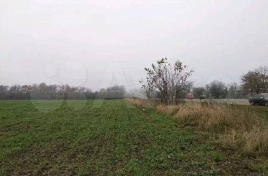 Участок 3,2 га (СНТ, ДНП) - Фото 1