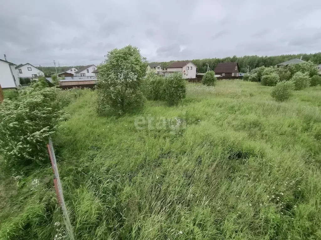 Деревня коновалово. Большое коновалово ломоносовский. Большое коновалово ломоносовский. Кп услада. Большое коновалово ломоносовский.