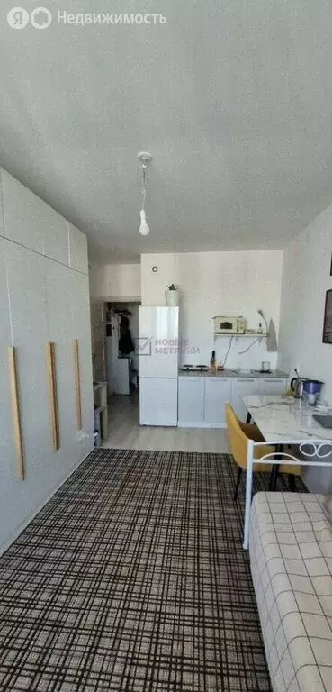 Квартира-студия: Санкт-Петербург, Арцеуловская аллея, 21 (24.4 м) - Фото 2