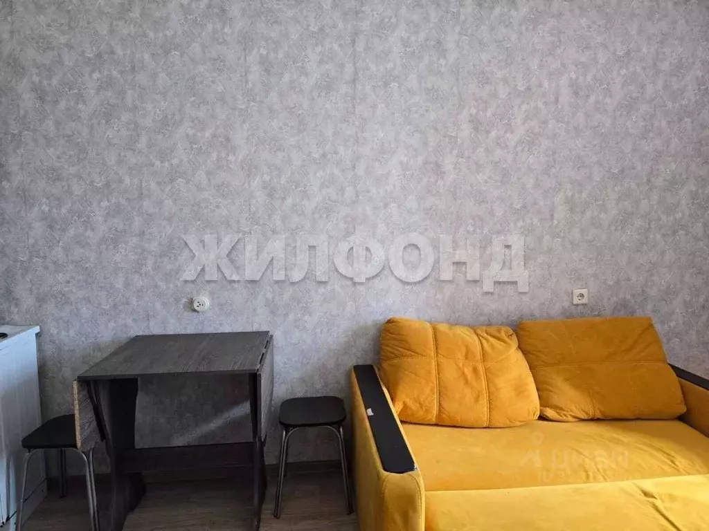 Студия Новосибирская область, Новосибирск ул. Петухова, 103 (20.0 м) - Фото 2