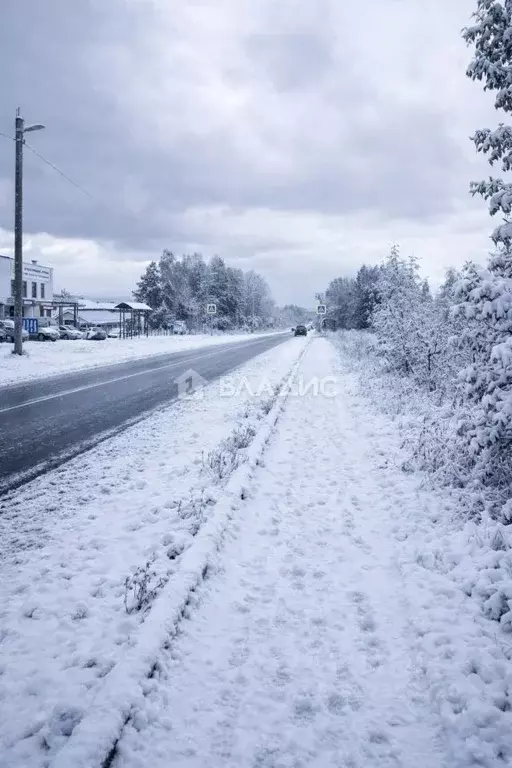 Участок в Нижегородская область, Богородский муниципальный округ, с. ... - Фото 2