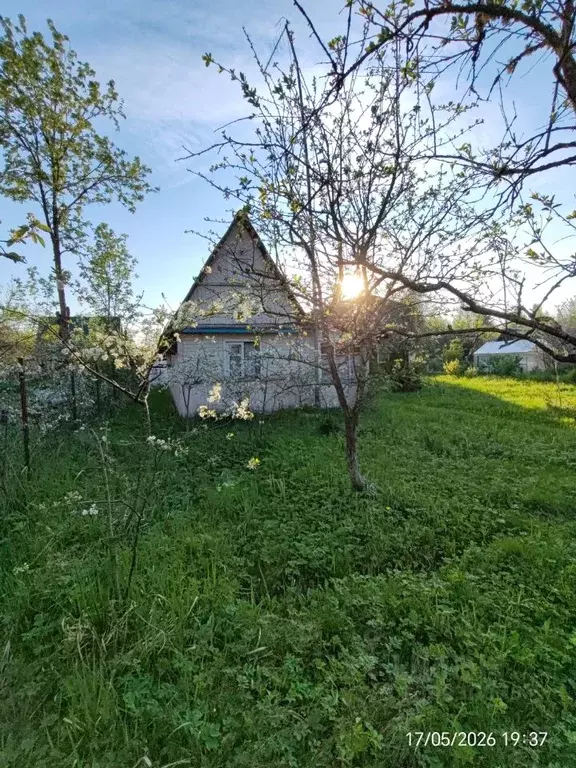 Дом в Ленинградская область, Лужский район, Мшинское с/пос, Мшинская ... - Фото 2