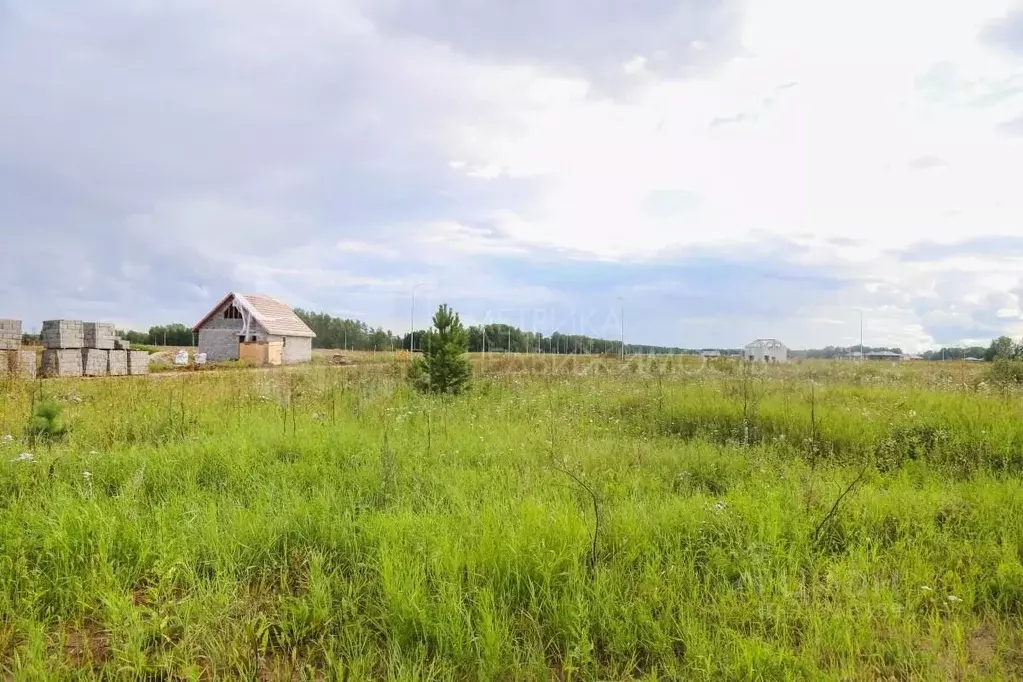 Участок в Тюменская область, Тюменский район, Новокаменский кп  (10.0 ... - Фото 0