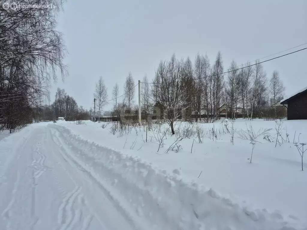Участок в Ярославская область, Некрасовский муниципальный округ, ... - Фото 1