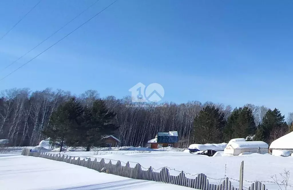 Участок в Новосибирская область, Тогучинский район, Заринка СТ ул. ... - Фото 1