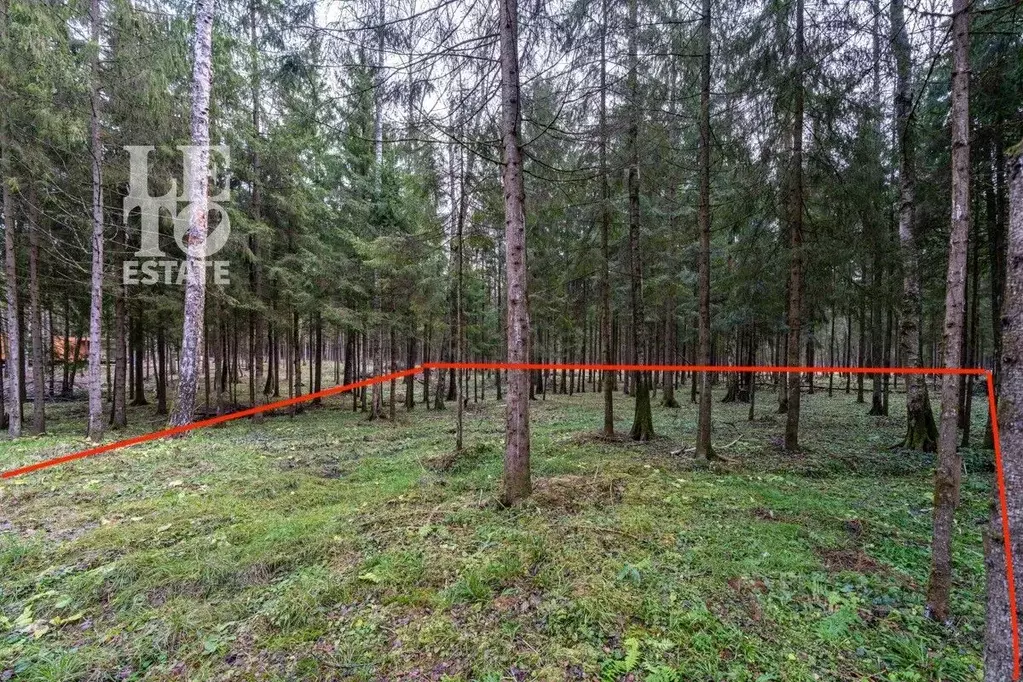 Участок в Московская область, Мытищи городской округ, Среди Своих кп  ... - Фото 0