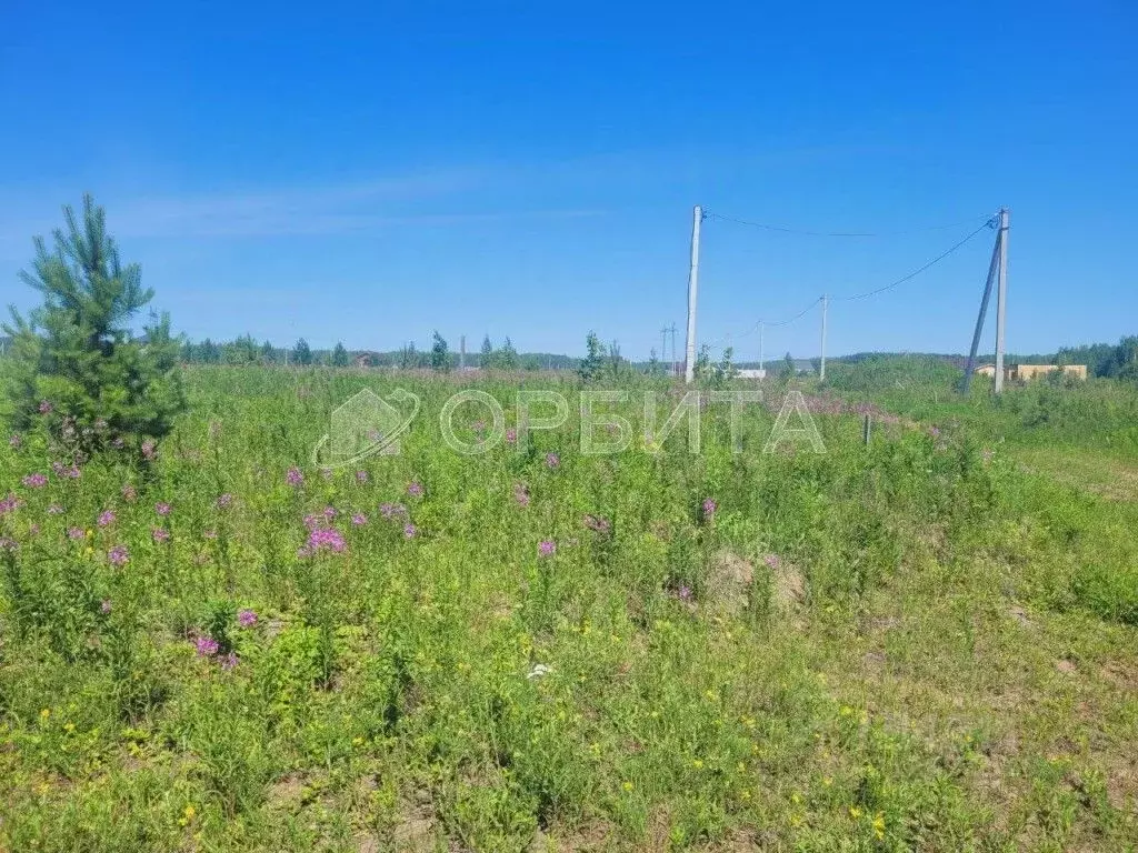 Участок в Тюменская область, Тюменский район, с. Кулига, Кулига-2 мкр  ... - Фото 1