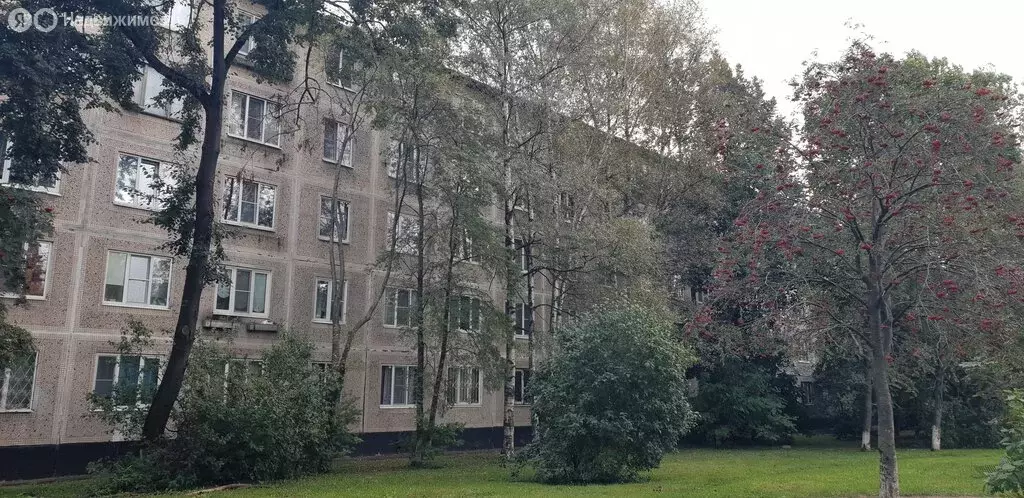 3-комнатная квартира: Санкт-Петербург, Народная улица, 47 (61.5 м) - Фото 1