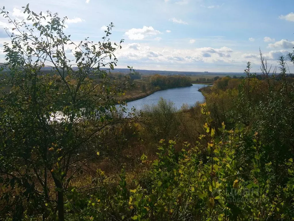 Участок в Московская область, Серебряные Пруды городской округ, д. ... - Фото 1