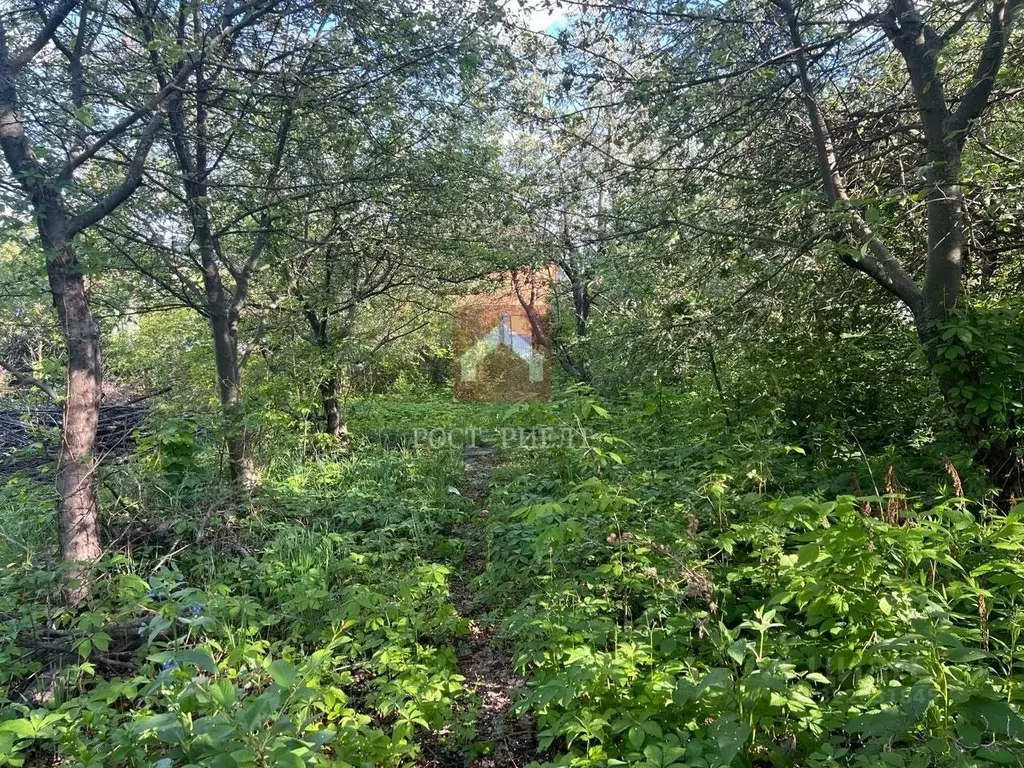 Участок в Саратовская область, Саратов Мичуринец-85 СНТ, 27 (9.0 сот.) - Фото 1