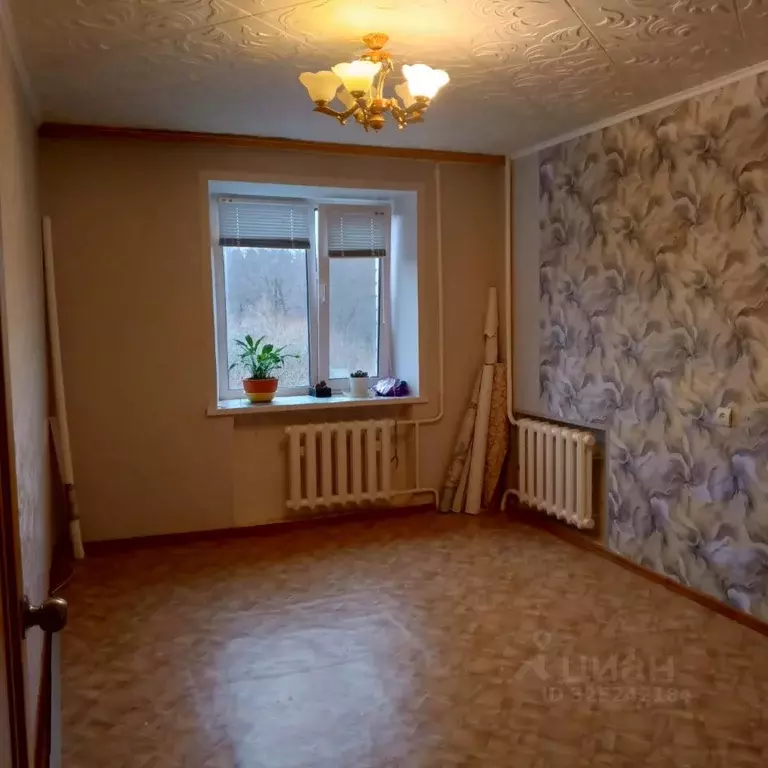 2-к кв. Ульяновская область, Димитровград ул. Куйбышева, 308 (32.0 м) - Фото 1