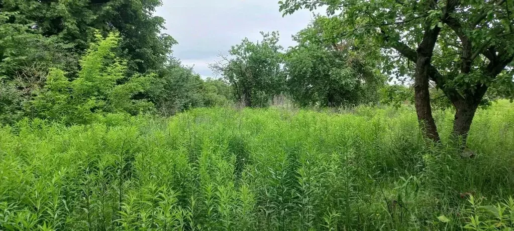 Дом в Тульская область, Тула городской округ, с. Маслово 96 (46 м) - Фото 0