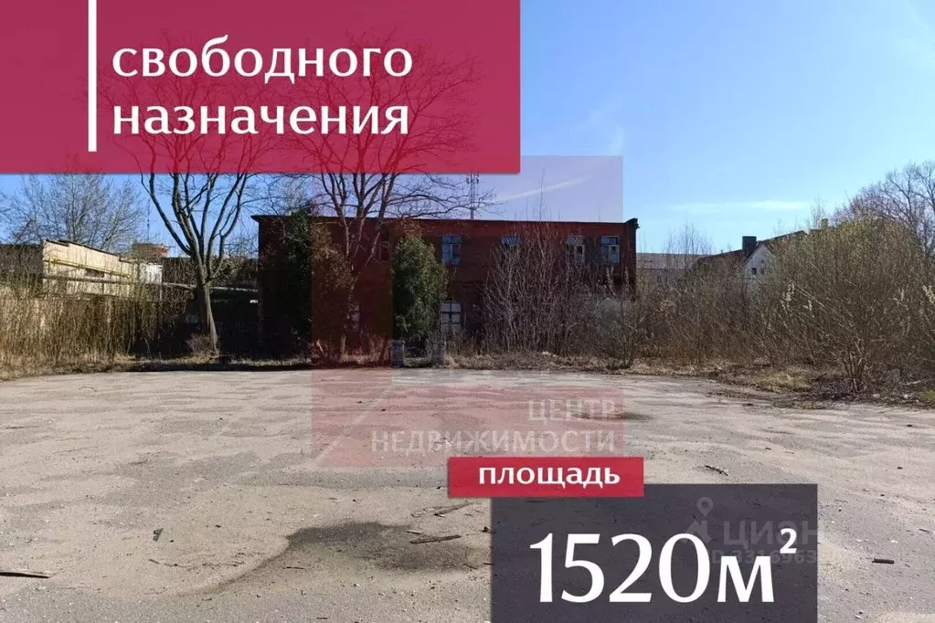 Помещение свободного назначения в Калининградская область, Черняховск ... - Фото 1