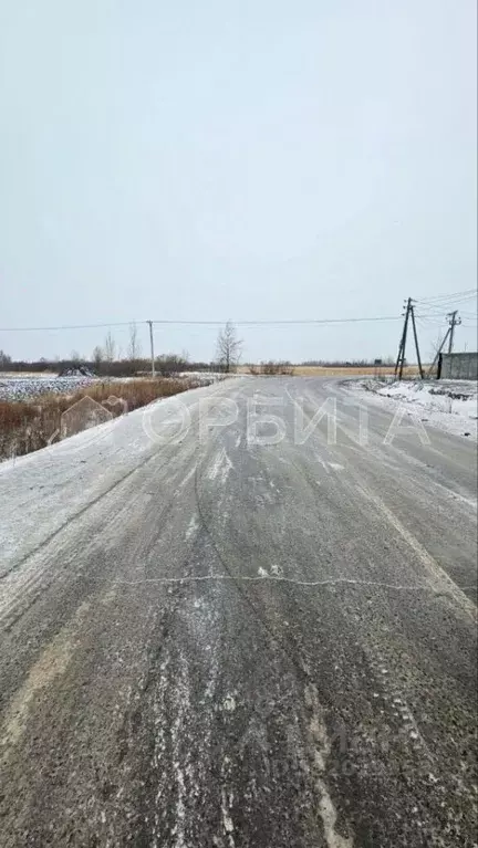 Участок в Тюменская область, Тюменский муниципальный округ, с. Каменка ... - Фото 2