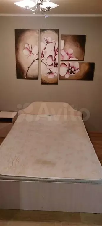 1-к. квартира, 30 м, 1/5 эт. - Фото 1