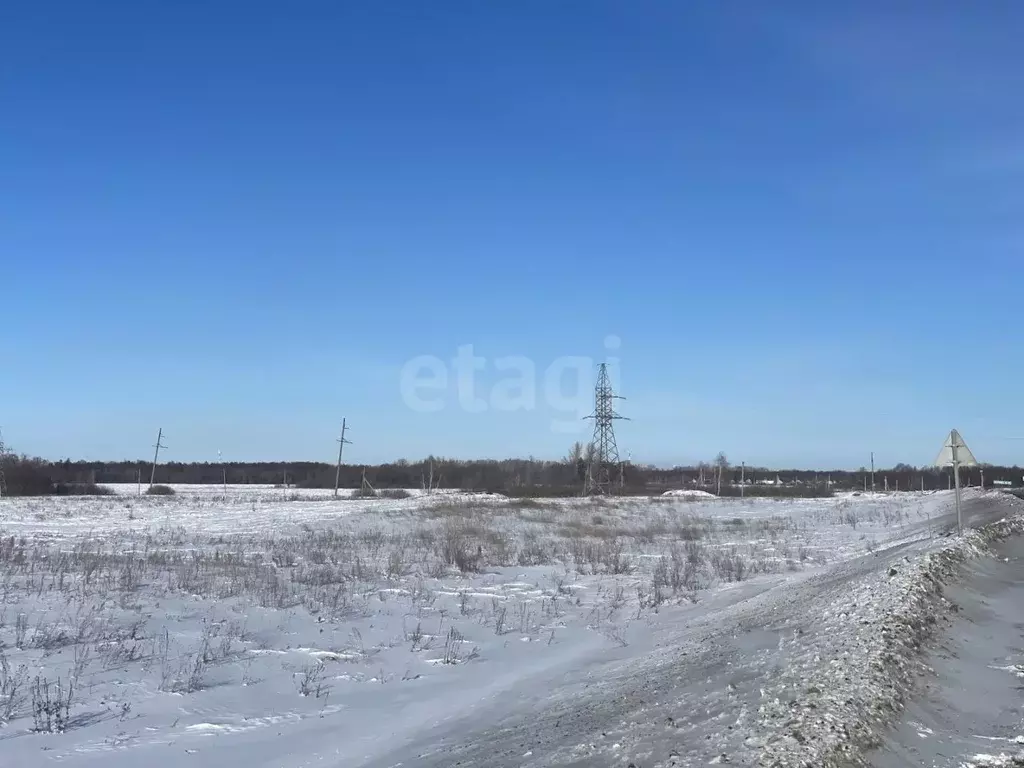 Участок в Башкортостан, Стерлитамакский район, Казадаевский сельсовет, ... - Фото 2