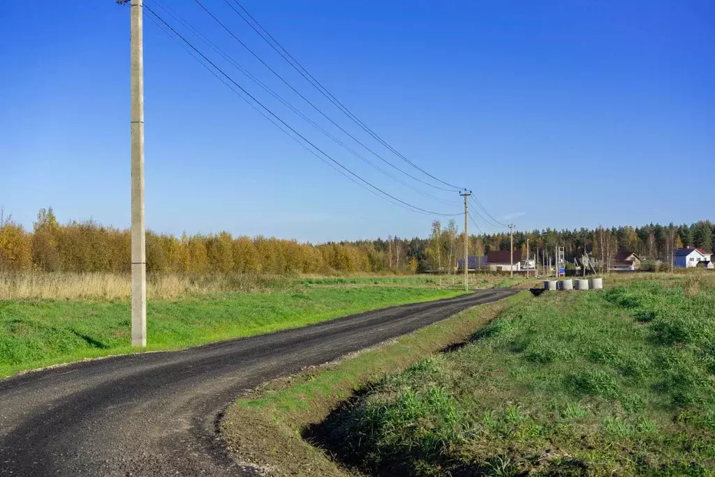 Участок в Ленинградская область, Всеволожский район, Колтушское ... - Фото 2