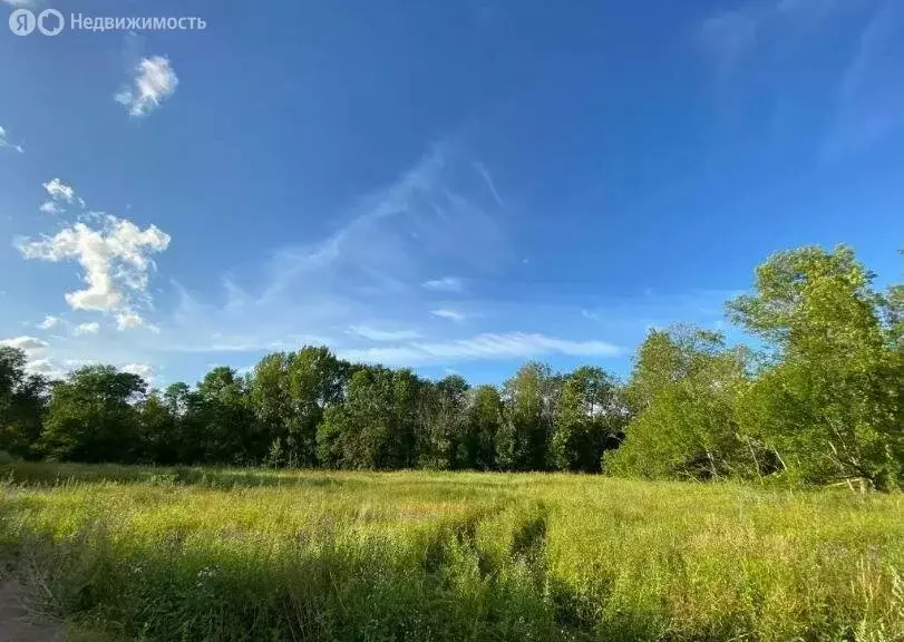 Участок в деревня Оржицы, Центральный проспект (6 м) - Фото 2
