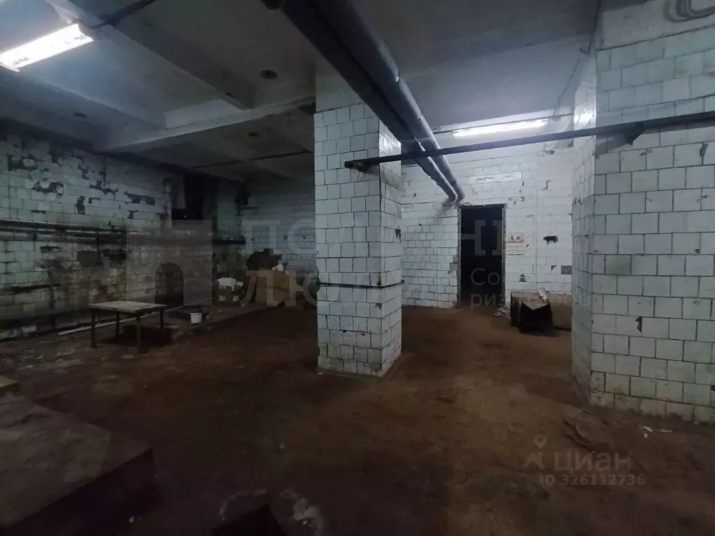 Помещение свободного назначения в Новгородская область, Боровичи ... - Фото 1