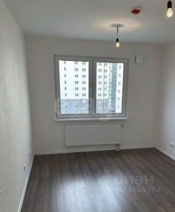 Студия Санкт-Петербург дор. Муринская, 31к1 (18.3 м) - Фото 1