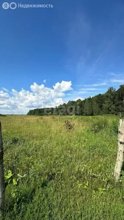 Участок в Томский район, село Батурино (12.3 м) - Фото 1