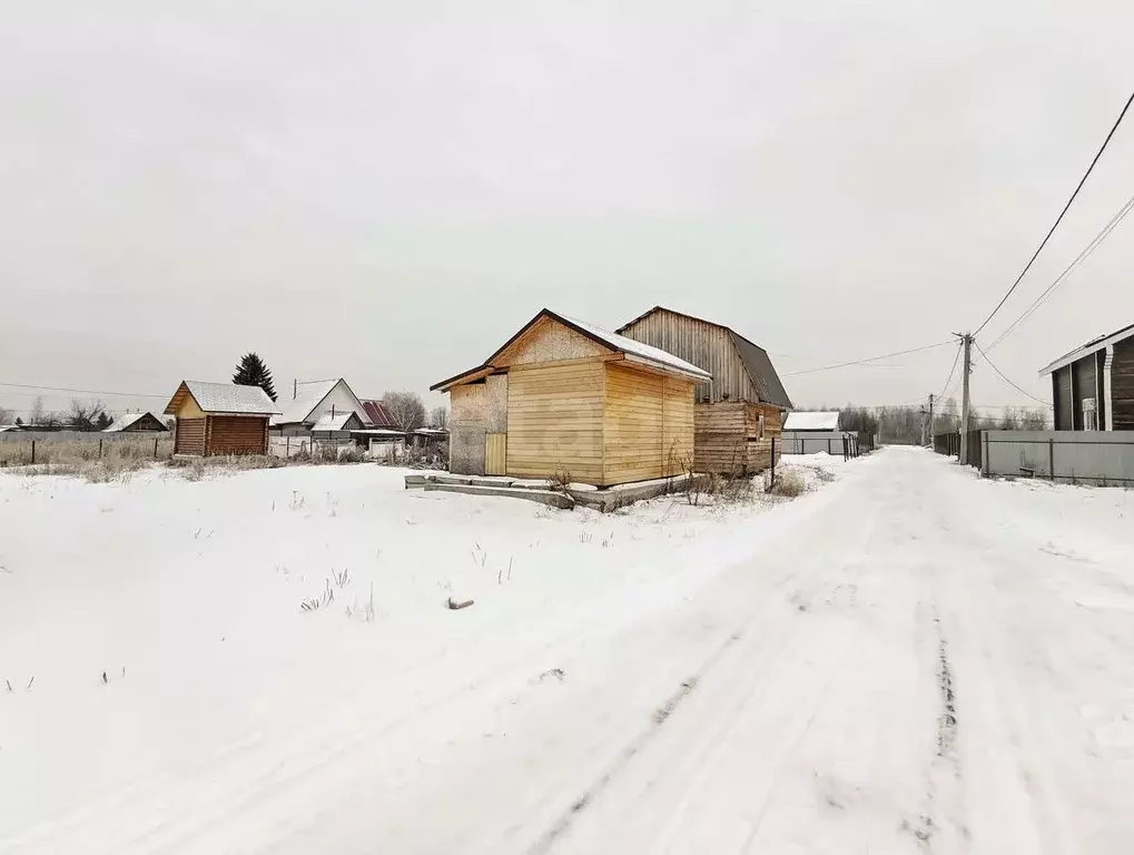 Участок в Тюменская область, Тюмень Царево садовое товарищество, ул. ... - Фото 1