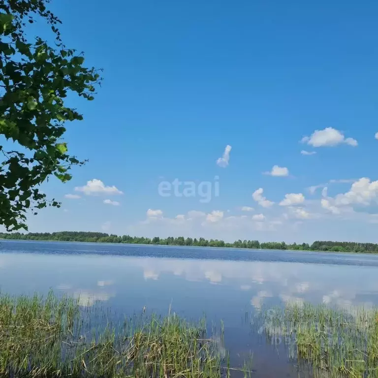 Участок в Ярославская область, Некрасовский муниципальный округ, ... - Фото 1