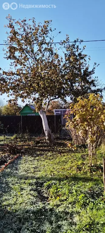 Участок в Ленинградская область, Гатчинский муниципальный округ, СНТ ... - Фото 1