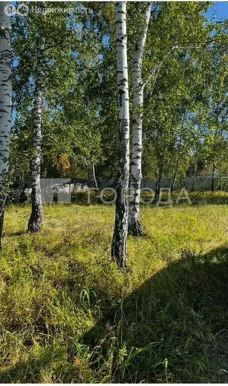 Участок в Марусино, Лазурная улица, 25 (8 м) - Фото 0