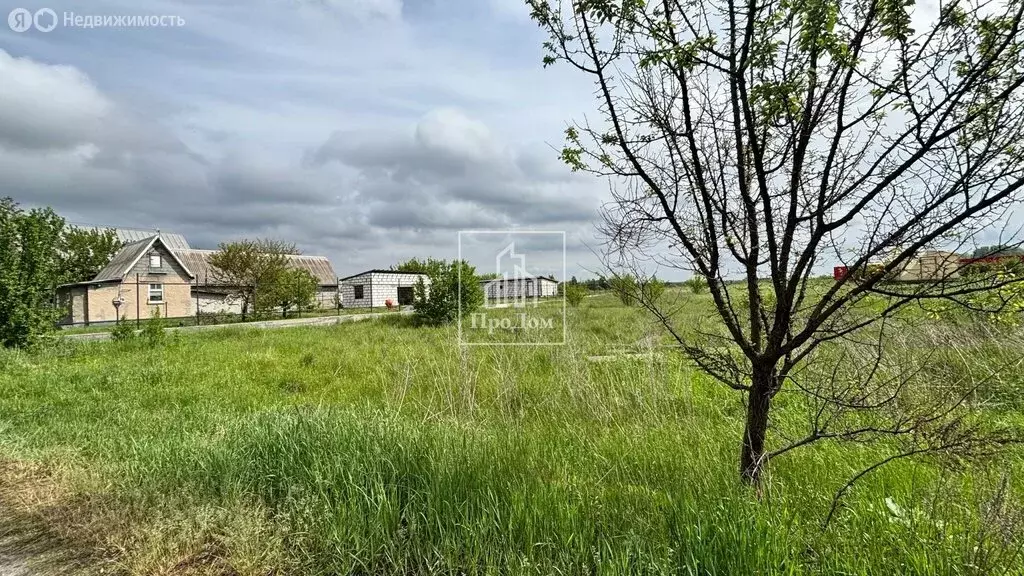 Участок в Старооскольский городской округ, село Новосёловка, Новая ... - Фото 1