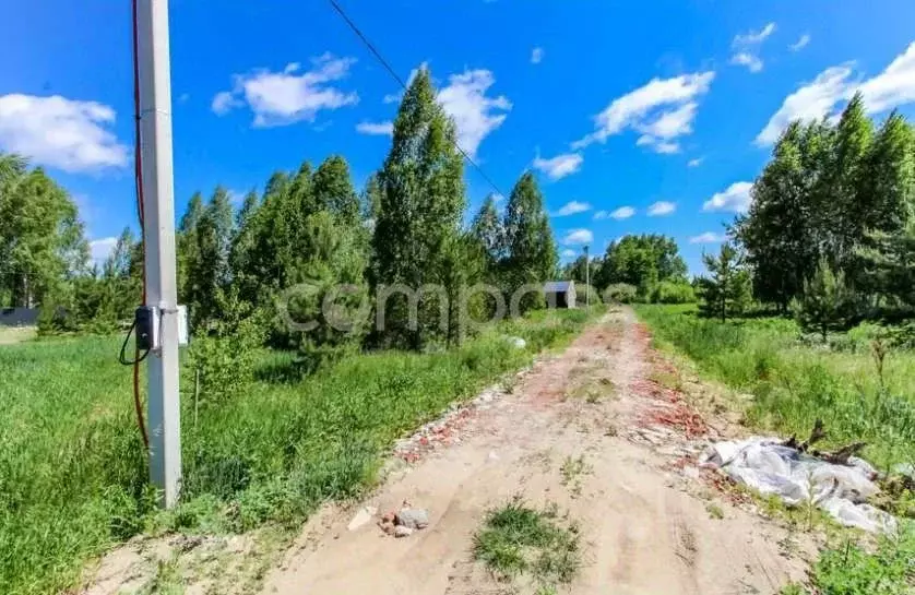 Участок в Тюменская область, Нижнетавдинский район, Геолог-2 СНТ  (5.3 ... - Фото 1