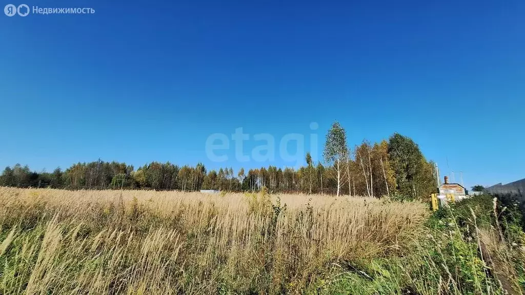 Участок в Ковровский район, муниципальное образование Малыгинское, ... - Фото 0