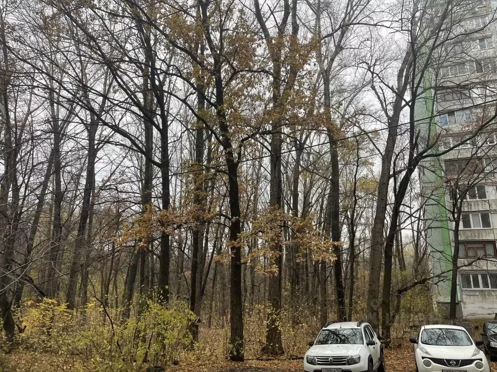 3-к кв. Самарская область, Самара ул. Стара-Загора, 305 (67.0 м) - Фото 1