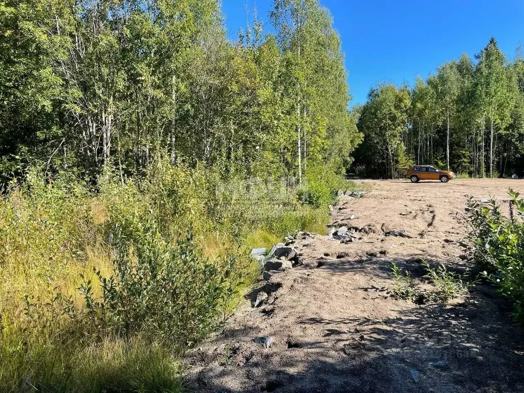 Участок в Карелия, Прионежский район, Нововилговское с/пос, ... - Фото 2