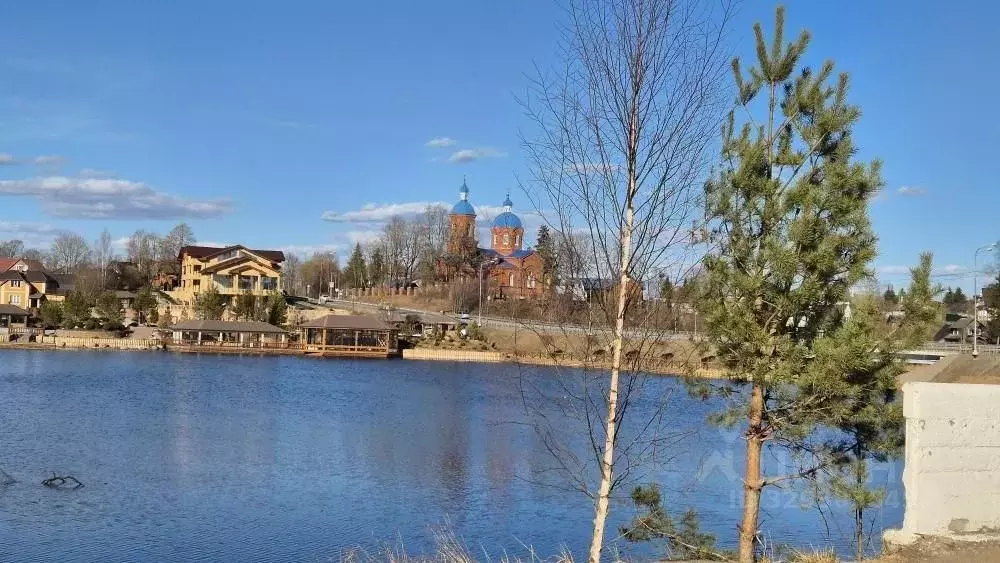 Участок в Ленинградская область, Гатчинский муниципальный округ, с. ... - Фото 2